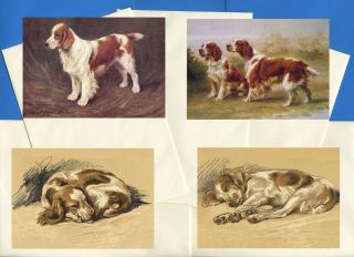 Welsh Springer Spaniel Pack Of 4 Vintage Style Dog Print Greetings Note Cards