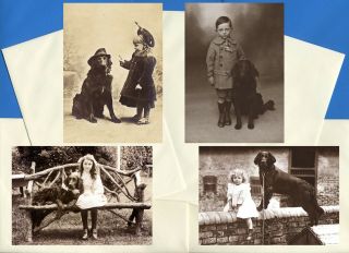 Flat Coated Retriever Pack Of 4 Vintage Style Dog Print Greetings Note Cards 1