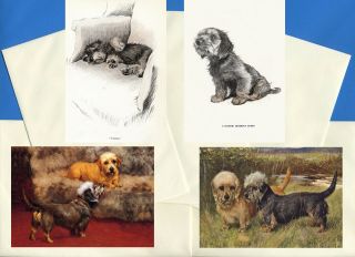 Dandie Dinmont Terrier Pack Of 4 Vintage Style Dog Print Greetings Note Cards 1