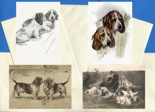 Petit Basset Griffon Vendeen 4 Vintage Style Dog Print Greetings Note Cards