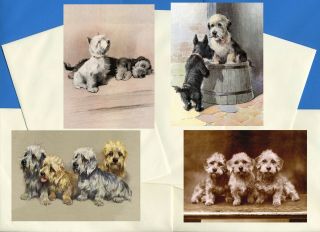 Dandie Dinmont Terrier Pack Of 4 Vintage Style Dog Print Greetings Note Cards 2