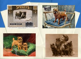 Brussels Griffon Pack Of 4 Vintage Style Dog Print Greetings Note Cards 3