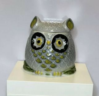 Anthropologie Owl Cookie Jar Made In Italy Ceramic White Green Yellow Msrp $98