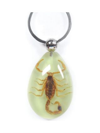 Scorpion Keychain Ring Glow In Dark Real Insect Key Chain Keyring Bug