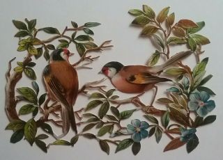 Lge.  Antique Embos Diecut Chromo Victorian Scrap.  2 Goldfinches.  Approx.  17x12cms