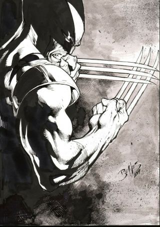 Wolverine (09 " X12 ") By Ed Benes - Ed Benes Studio