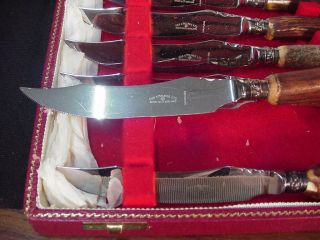 SET OF 8 GEE & HOLMES LTD SHEFFIELD ENGLAND BONE HANDLE STEAK KNIVES WITH CASE 2