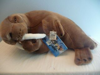 National Wildlife Federation Large Walrus With Baby / Tag