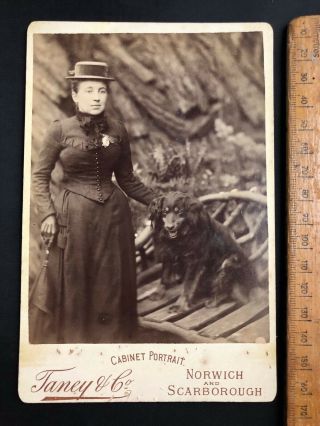 K Antique Victorian 1800s Taney Girl Retriever Spaniel Dog Bw Photo Cabinet Card