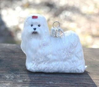 Maltese Dog Christmas Ornament - Owc (old World Christmas) - Glass Blown