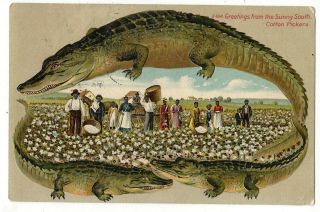 Black Americana Postcard Embossed Alligator Border " No.  S658 Cotton Pickers "