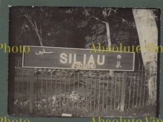 Old Photo Siliau Narrow Gauge Railway Station Sign Singapore Malaysia 1910 - 20