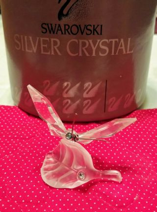 Swarovski Crystal Butterfly On Frosted Leaf A 7615 Nr000 003 Mib W/coa