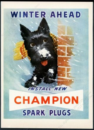 1950 Scottie Dog Scottish Terrier Color Art Champion Spark Plug Vintage Print Ad