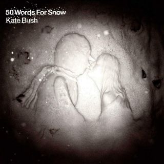 Kate Bush ‎– 50 Words For Snow 2x 180g Vinyl Lp Remastered (new/sealed)