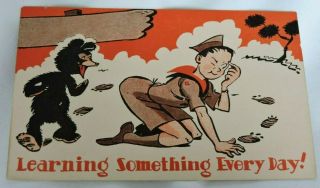 Vintage Postcard Boy Scouts Of America Bsa Learning Something Everyday 1947 Camp