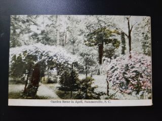 Garden Scene April Pinehurst? C.  1910 Summerville Sc South Carolina Postcard Pc