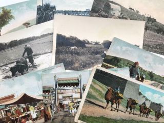 9 Early 1900s Postcards Views Of Peking And North China (some Rural Images)