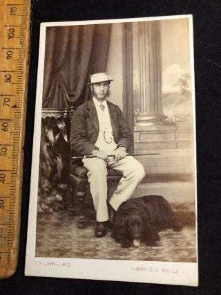 K Antique 1800s S H Lawrence Retriever Dog Victorian B&w Cdv Photo Cabinet Card
