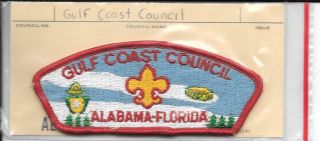 Bsa Vintage Shoulder Patch.  Gulf Coast Council.  Mid 70 
