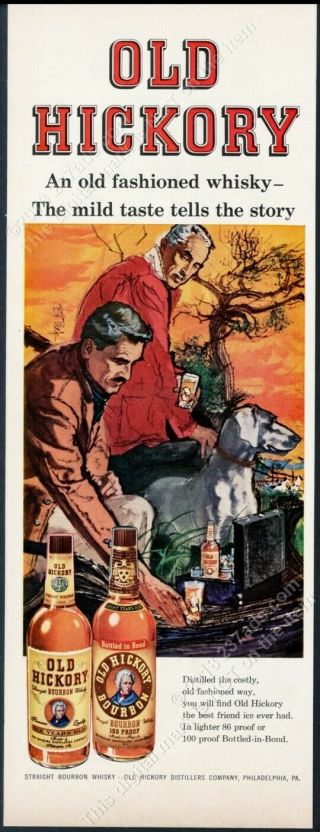 1958 Weimaraner Dog Bob Peak Art Old Hickory Bourbon Whiskey Vintage Print Ad