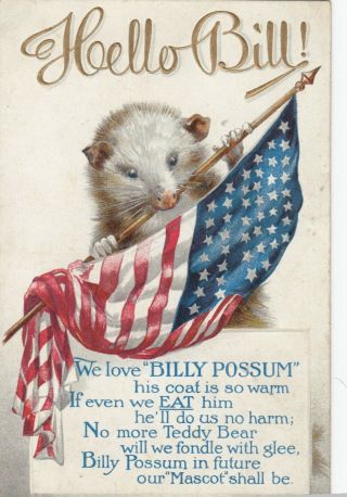 Usa Politics ; Hello Bill,  We Love " Billy Possum " (william Taft),  1900 - 10s 2