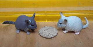 2 Different Chinchilla Figures Kaiyodo Chocoq Pets 4 Very Detailed