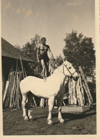 Vintage Photograph,  Good Looking Young Man,  Shirtless,  Riding Horse,  Gay Inter
