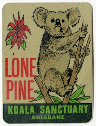 Souvenir Illustrated Sticker: " Lone Pine Koala Sanctuary - Brisbane "