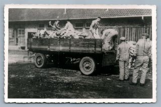 Dead Bodies Truck German Concentration Camp Vintage Real Photo Postcard Rppc