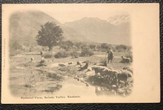 Postcard Scinde Valley Kashmir C1900s Bremner India Vintage Pakistan