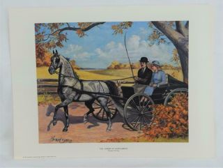 1978 American Saddlebred Horse Art Print Pleasure Driving 16x12