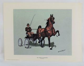 1978 Walter J.  Brown American Saddlebred Horse Fine Harness 16x12 Print