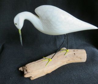Hand Carved Painted Shorebird Egret On Drift Wood 10 " Long Chincoteague.  Daisey?