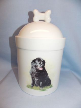 Newfoundland Newfie Dog Gentle Giant Dog Porcelain Treat Cookie Jar Xlnt.