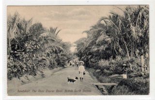 The Race Course Road,  Sandakan: British North Borneo Postcard (c48360)