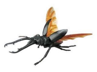 4d Master Puzzle Insect Toy / Figure Prosopocoilus Giraffa Beetle
