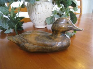 Hand Carved Wooden Duck Decoy 1983 Max Thompson Glass Eyes Life Size Signed