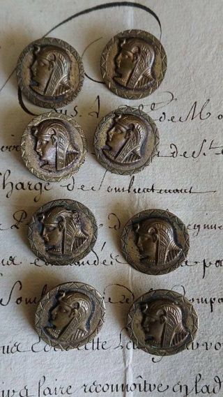 SET 8 ANTIQUE FRENCH GILT METAL BUTTONS WITH EGYPTIAN HEAD c1920s 2