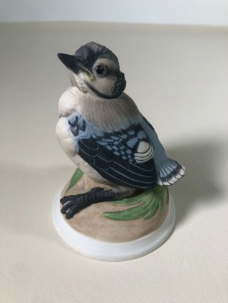 Vintage Boehm “baby Blue Jay” Figurine No.  436 Made In U.  S.  A.