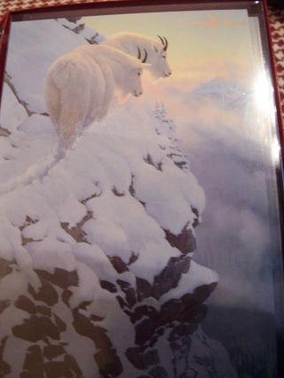 Leanin Tree Christmas Card Set Mountain Goats 10 Pk