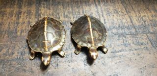 Ceramic Turtles With Male & Female Genitalia Naughty Gag Gift Retro X - Rated Boob