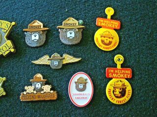 Smokey Bear 10 Vintage Pins,  All Different - - - Prevent Forest Fires/Wildfires 3
