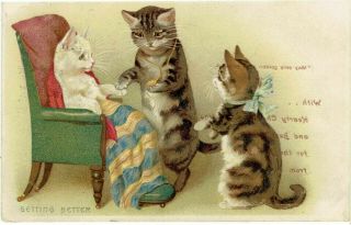 H Maguire Artist Old Postcard Anthropomorphic Cats One Ill In Chair 1904