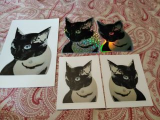5 Feather Siamese Cat Stickers Art Blenderofzombie Hologram Artober