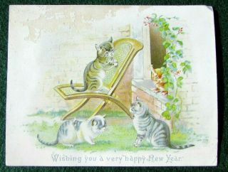 Victorian Card,  4 Tabby Cats Kittens In A Garden 1880s
