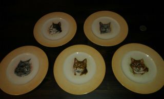 Collectable Cat Plates [set Of 5] 6