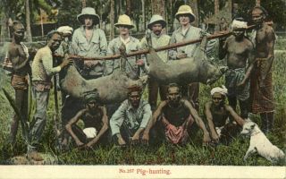 Straits,  Malay Malaysia,  Penang,  Pig Hunting,  Hunters (1910s) Postcard