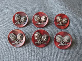 6 Antique Art Deco Flapper Silvered Berries Dyed Tagua Nut Metal Shank Buttons