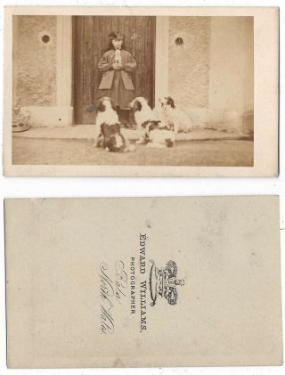Cdv Victorian Girl With Three Pet Dogs Carte De Visite By Williams Of Bala